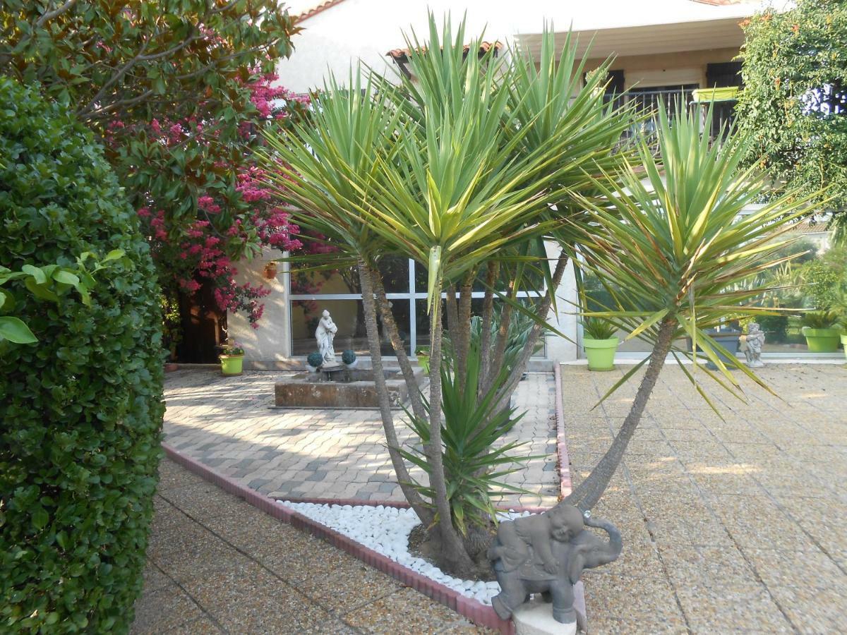 Maison Monica Exeptionnel-Jardin Paysage Zen Coursan Екстер'єр фото